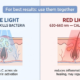 Comparison of blue light (415 nm) killing C. acnes bacteria and red light (630-660 nm) reducing inflammation and supporting healing — best used together for acne