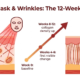How LED masks work for wrinkles: red light reaches the dermis, stimulates collagen over 4-6 to 8-12 weeks, and smooths fine lines